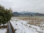乡村雪景