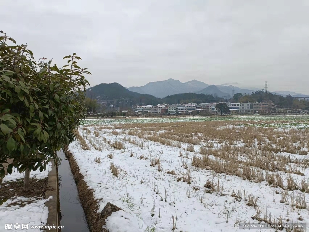 乡村雪景