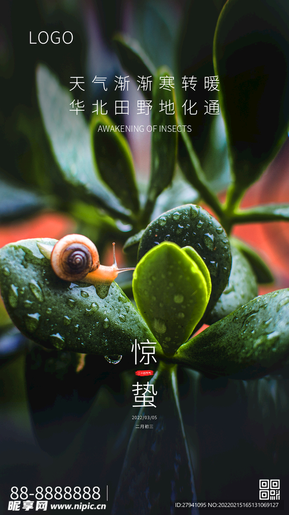 雨水