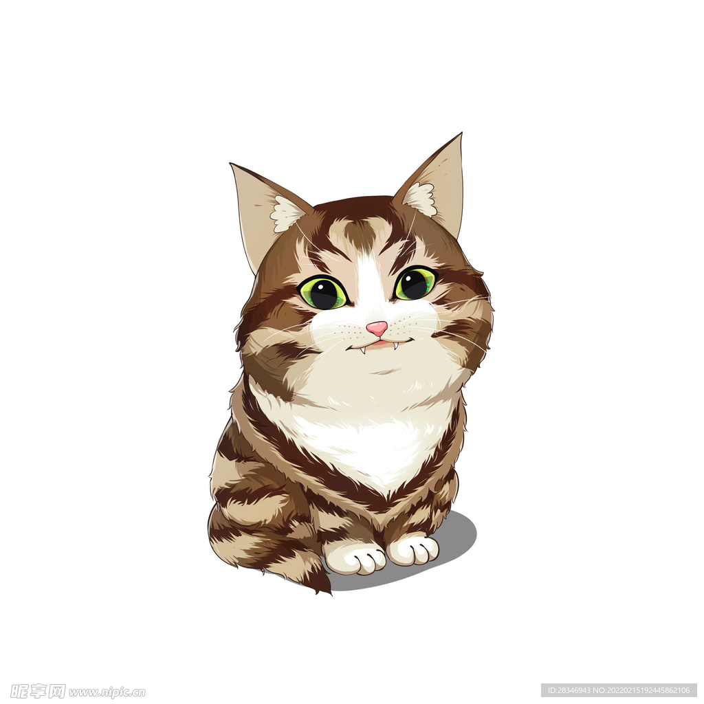 猫