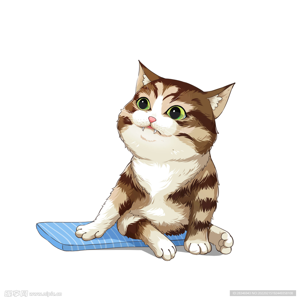 猫