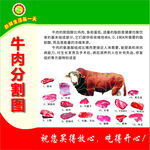 牛肉分割图