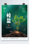 简约风二十四节气摄影图惊蛰节日