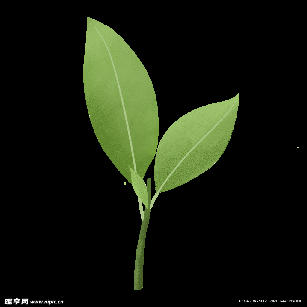 春天清新手绘嫩绿树叶