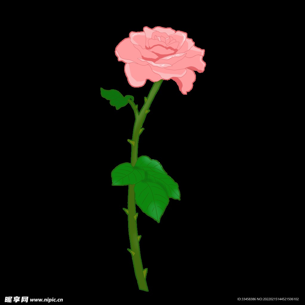 玫瑰花粉色花朵矢量