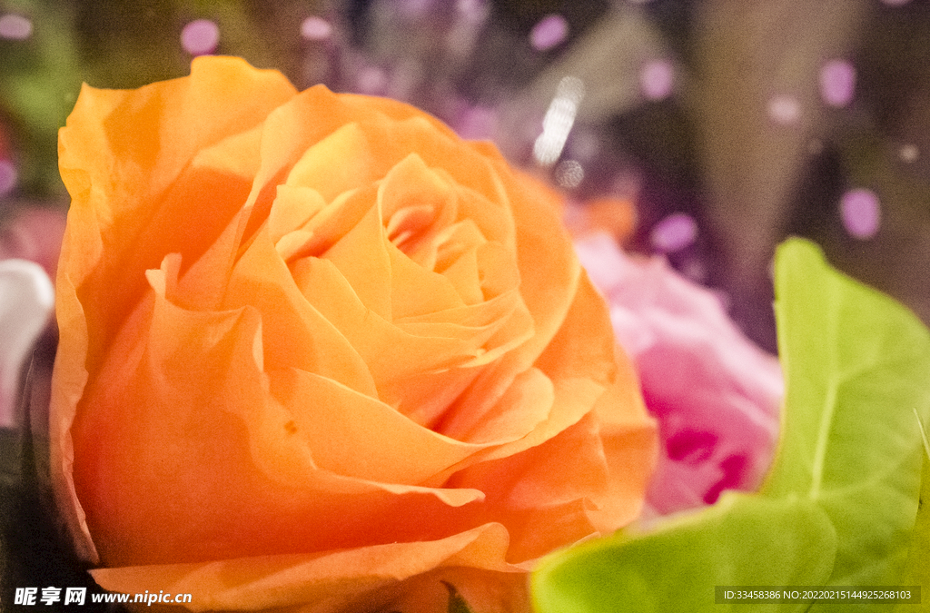 黄玫瑰鲜花花束摄影图