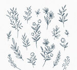 欧式边框  高档花纹 小花边 