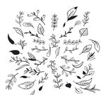 欧式边框  高档花纹 小花边 
