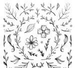 欧式花纹  底纹边框 分割线 