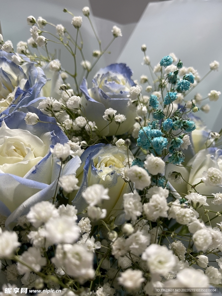鲜花