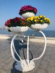 美丽城市 花艺装饰图片