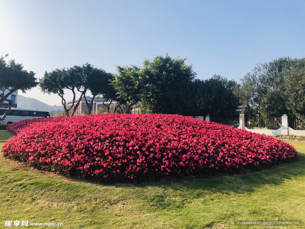 公园一角 花的图片 素材