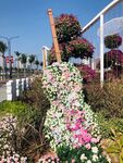 美丽城市建设 花艺 素材