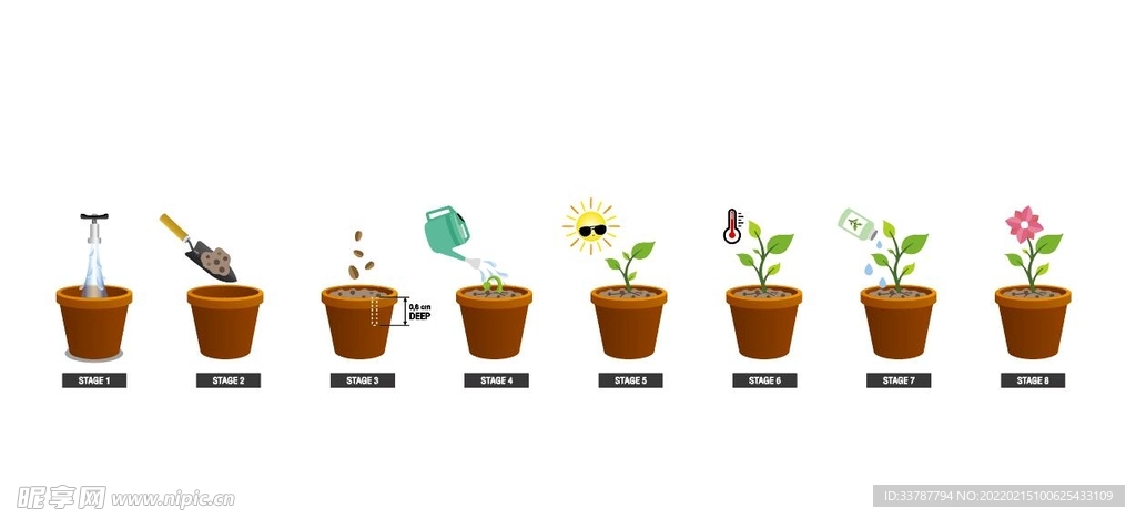 植物成长周期