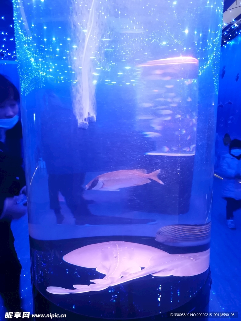 海洋馆生物