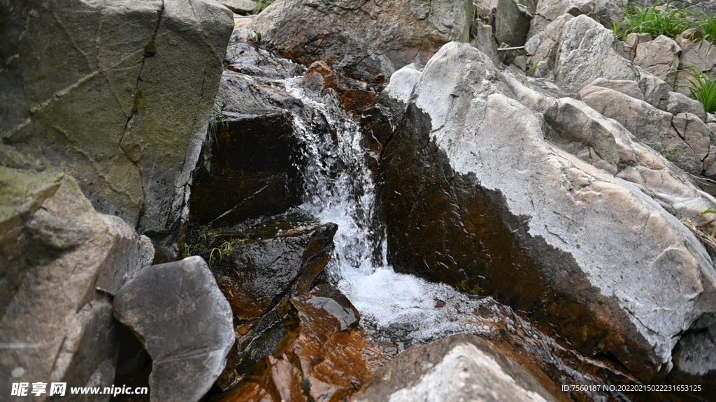 茶山