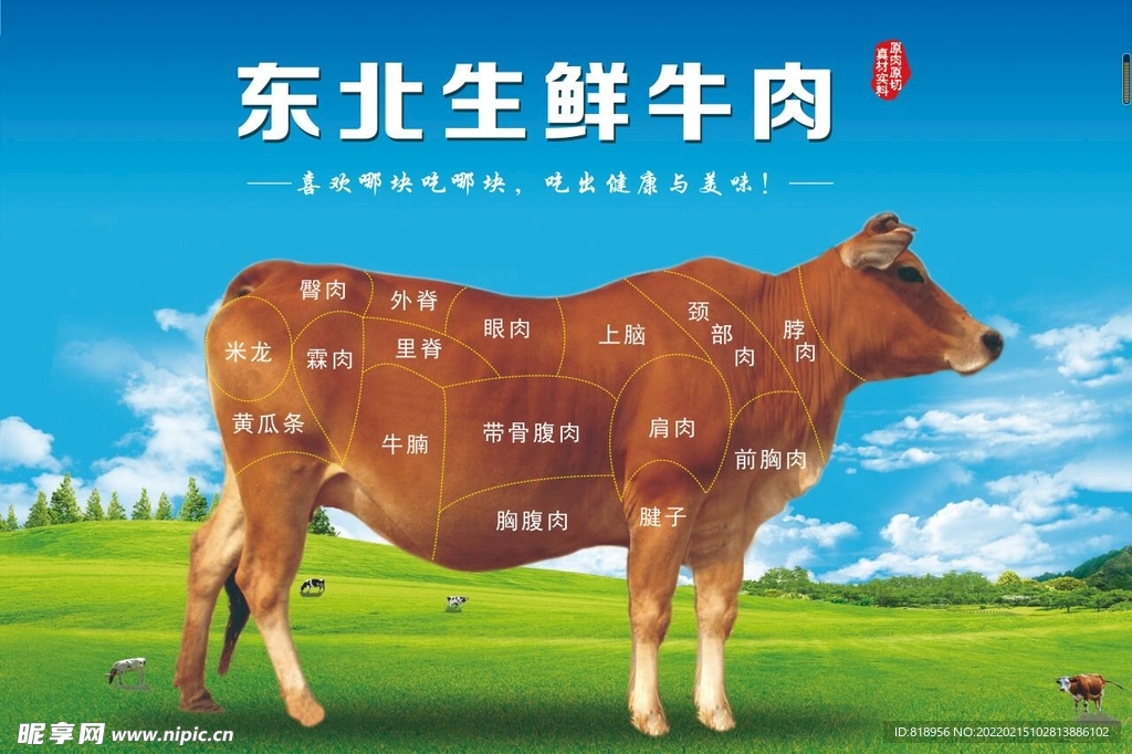 分割牛肉