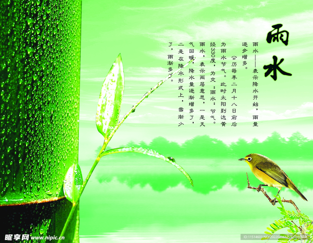 二十四节气雨水海报设计