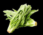 油麦菜