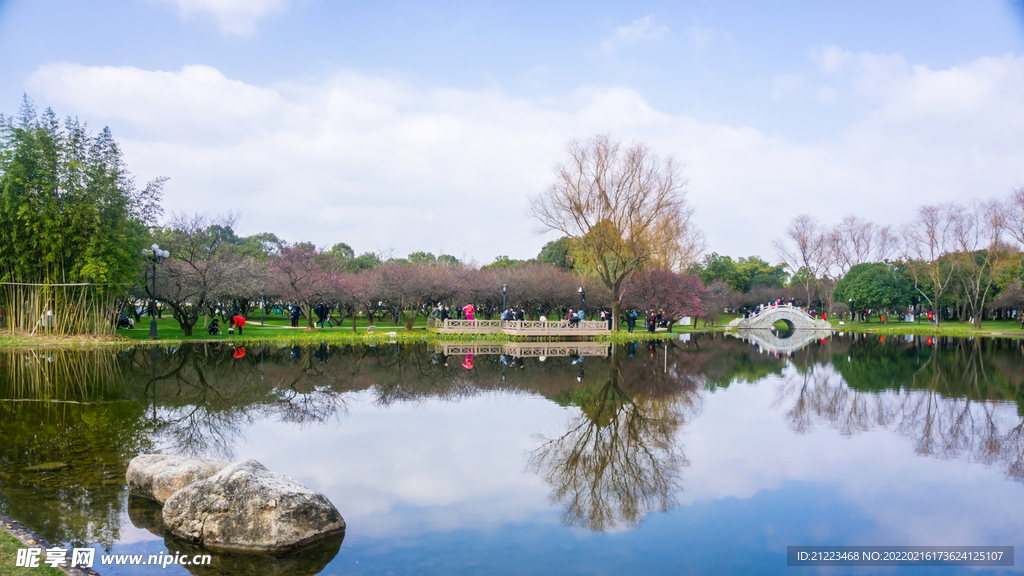 公园风景