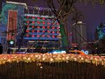 咖啡街区夜景