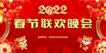春节联欢晚会
