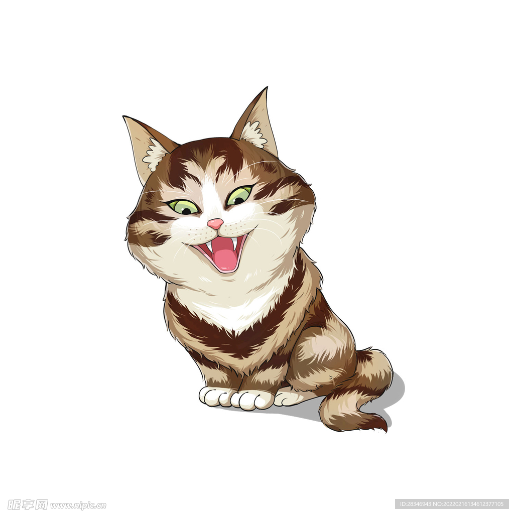 猫              