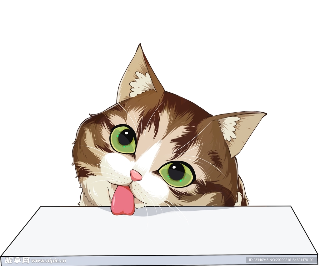 猫              