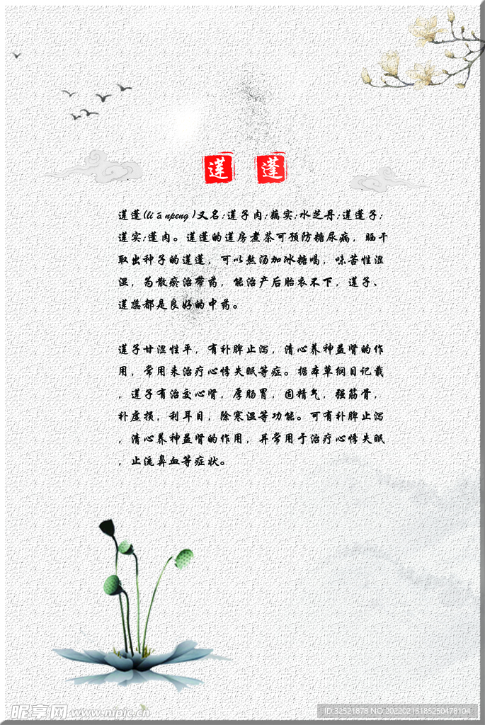 莲蓬