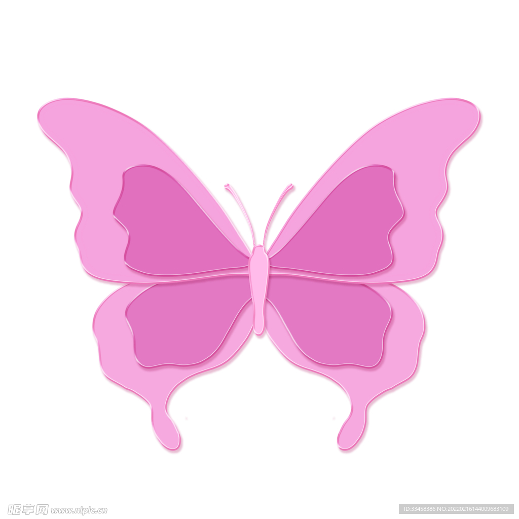 蝴蝶對稱翅膀粉色卡通昆蟲, 對稱翅膀, 蝴蝶, Insect素材圖案，PSD和PNG圖片免費下載