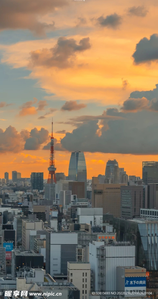 高楼