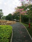 公园路