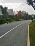 公园道路