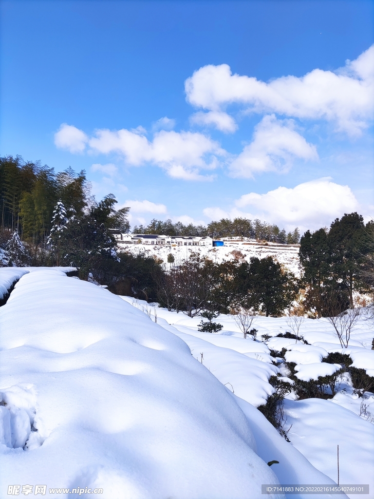 农村雪景