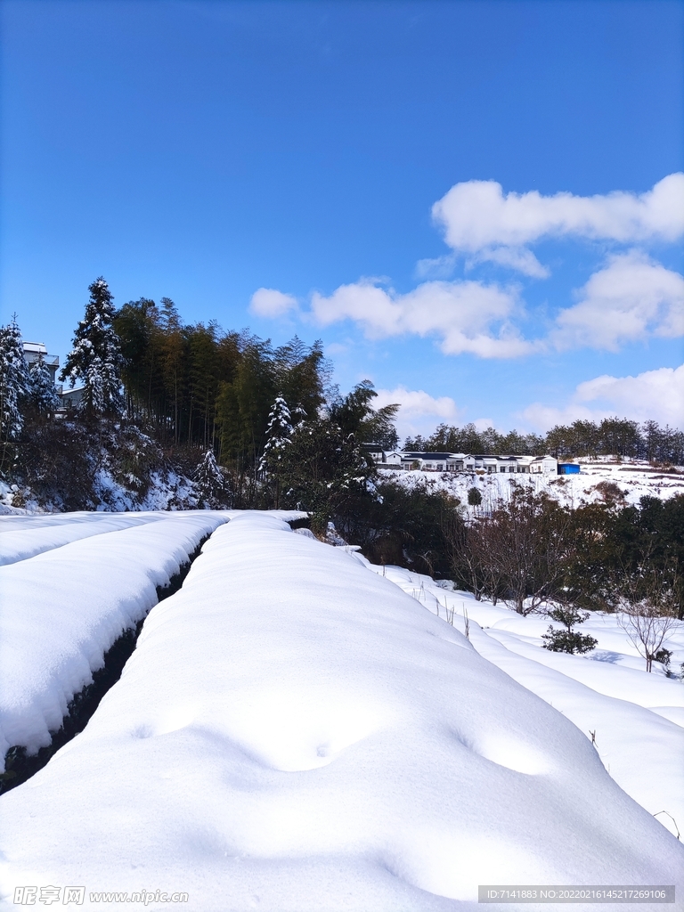 农村雪景