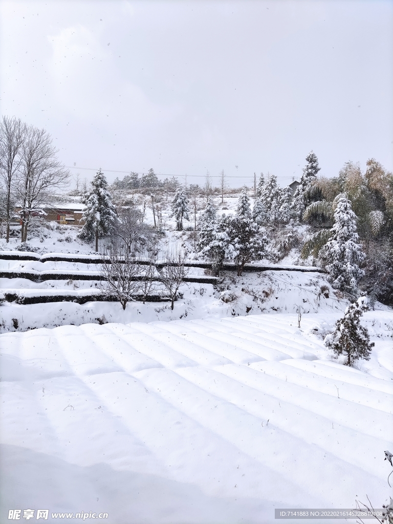 农村雪景