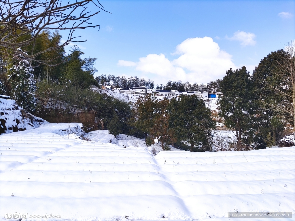 农村雪景