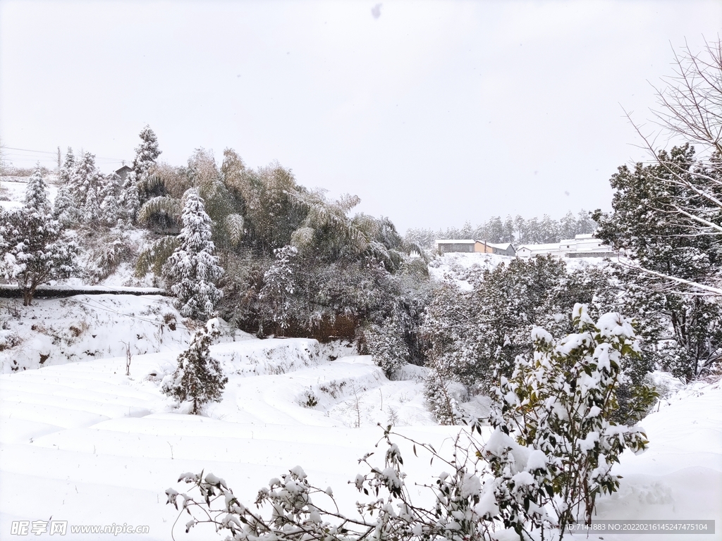 农村雪景