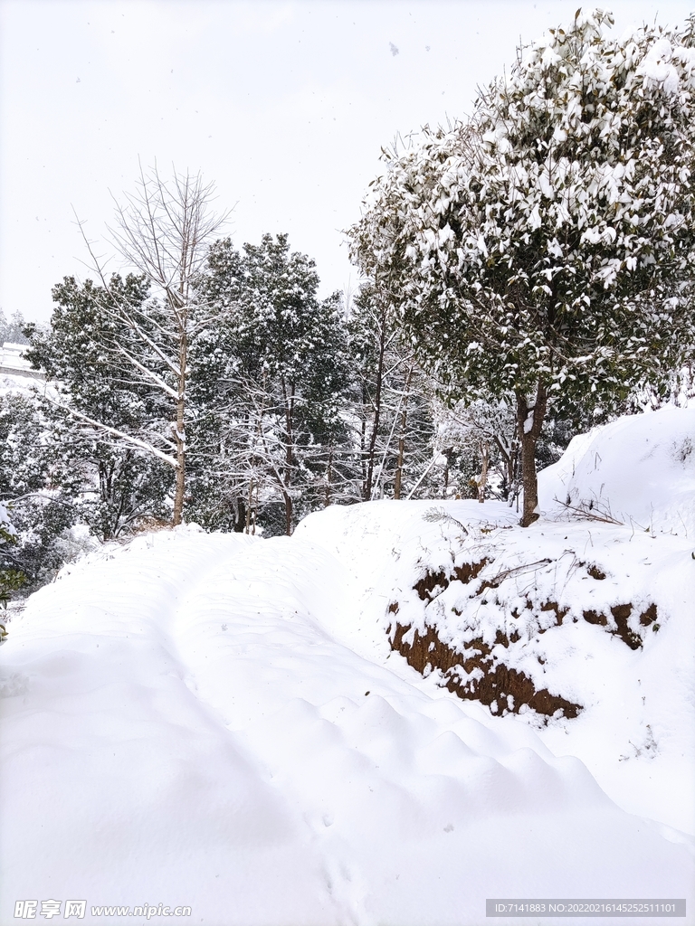 农村雪景