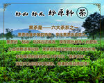黑茶简介