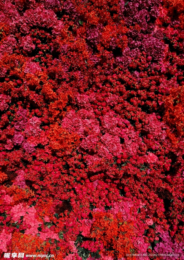 花卉