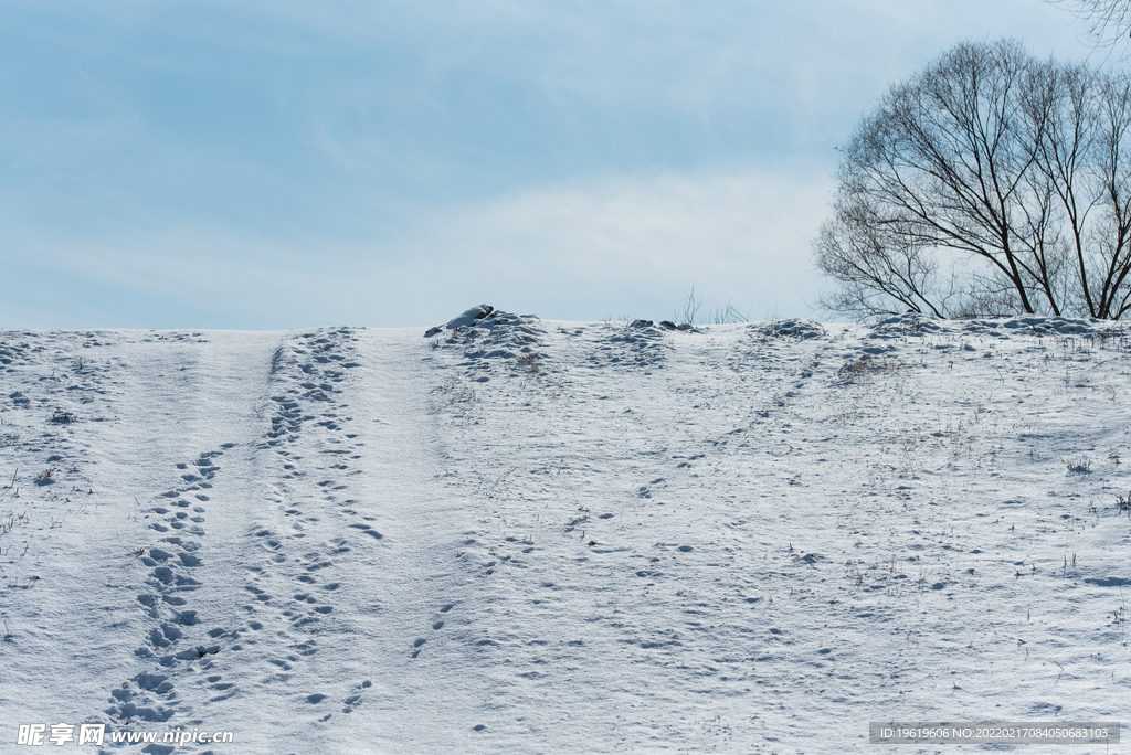 雪山