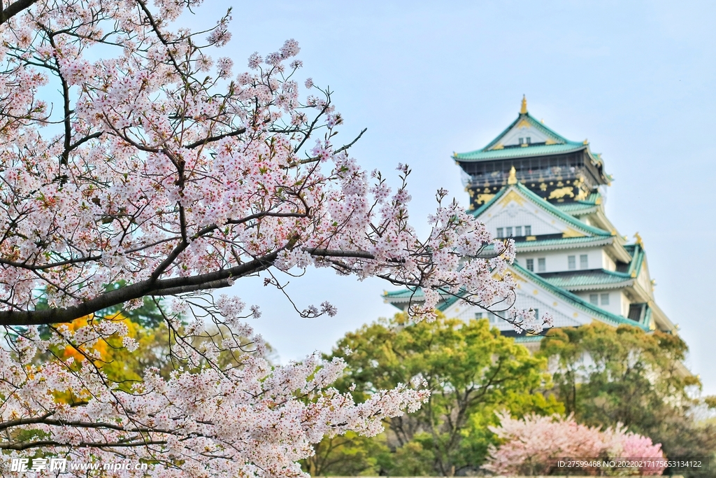 日本冬天樱花姬路城城楼世界文化