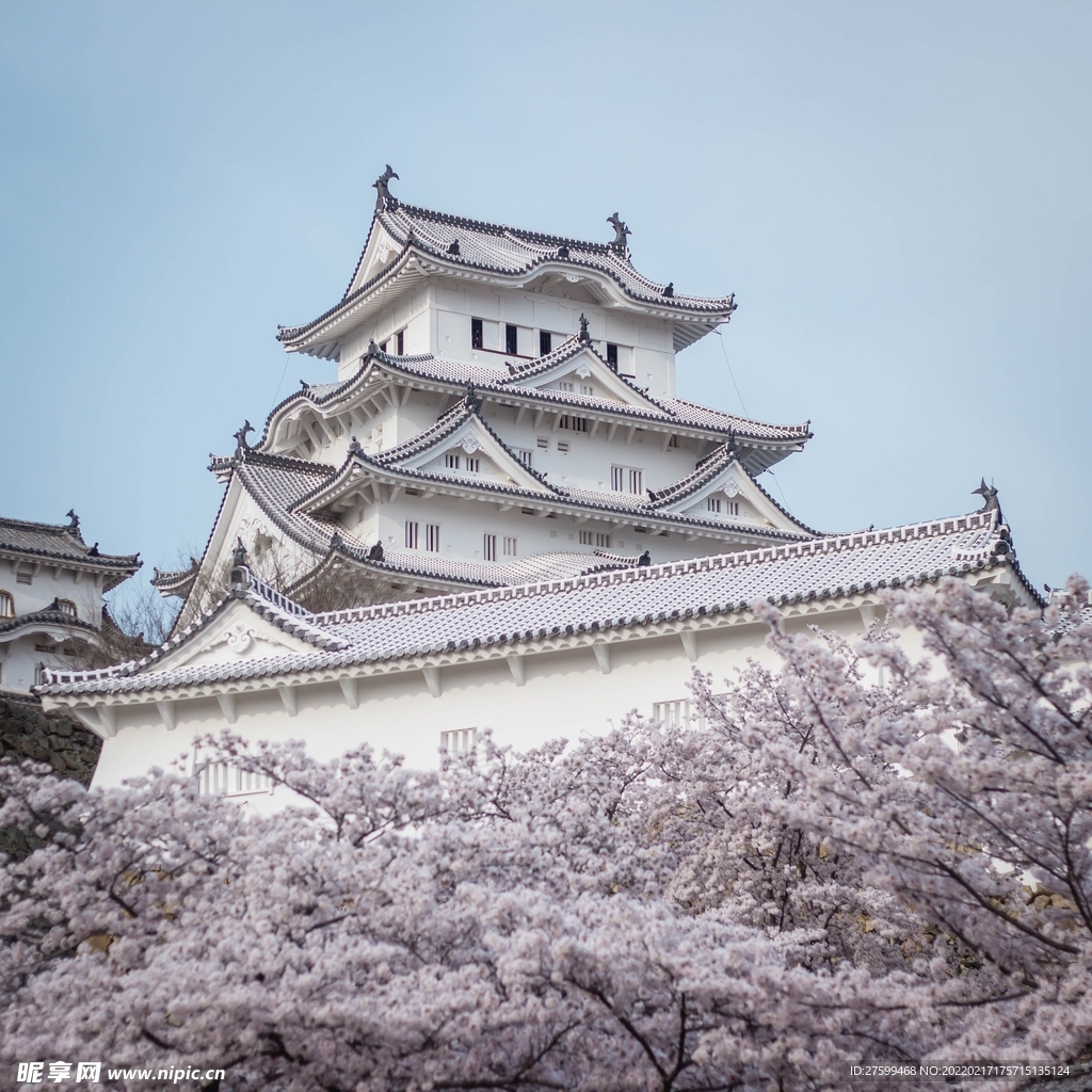 日本冬天樱花姬路城城楼世界文化