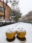 雪娃娃