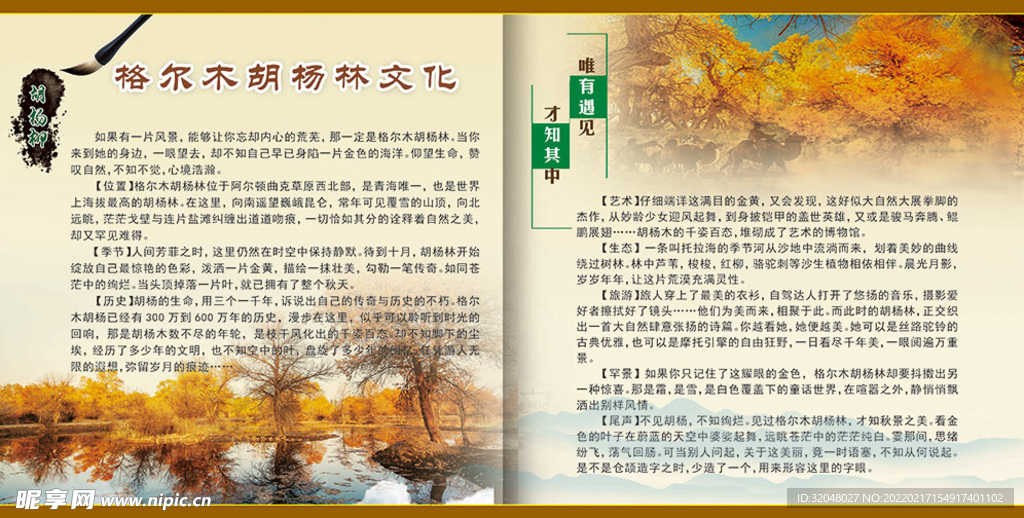 胡杨林简介