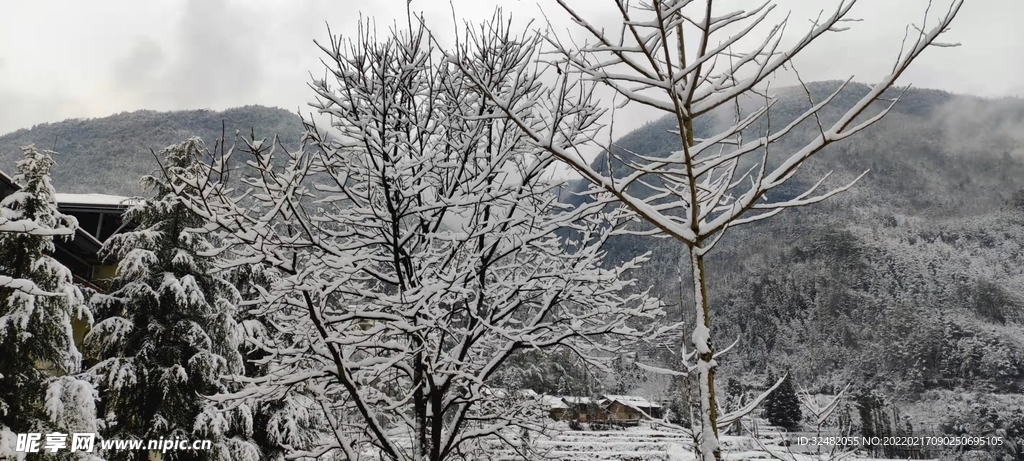 美丽雪景