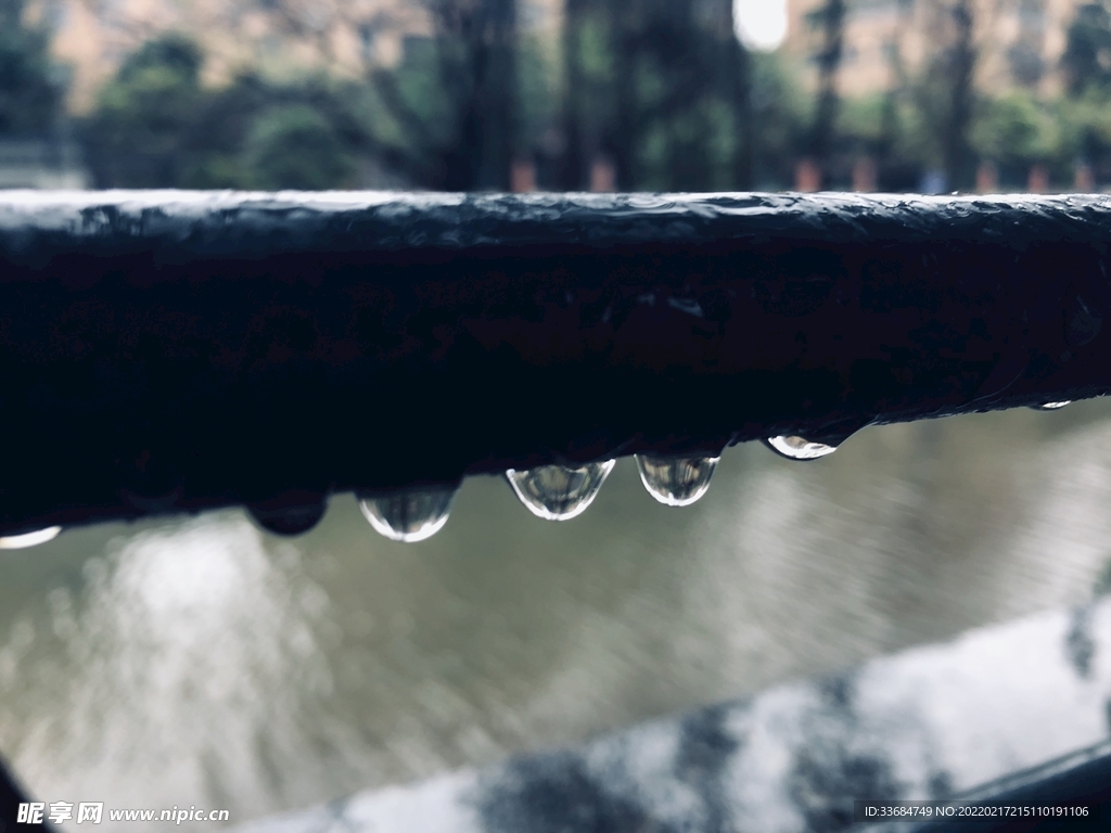 静止的雨 水珠