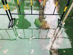 水中倒影 栏杆