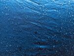 雨伞上的雨水 水珠素材